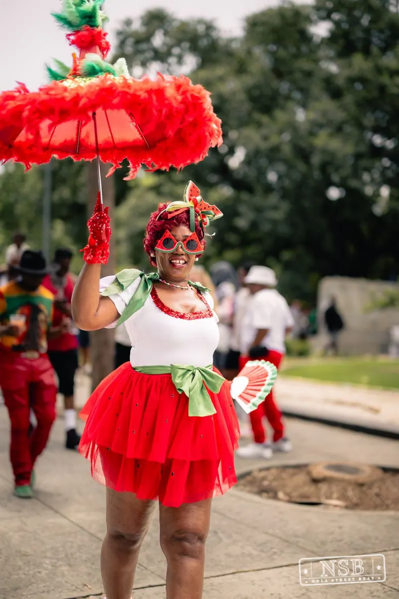 NOLA Juneteenth Festival in New Orleans, Louisiana, photo 3
