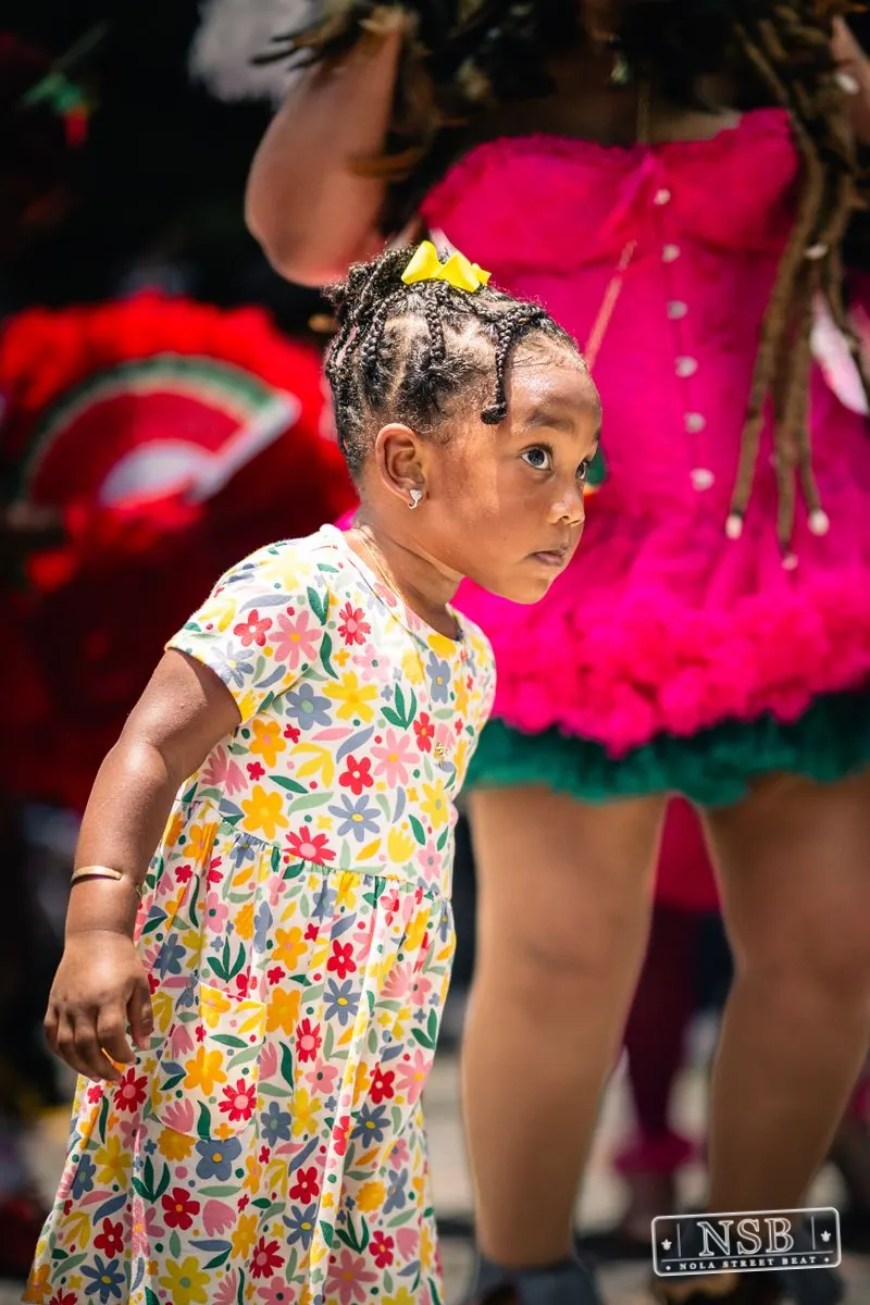 NOLA Juneteenth Festival in New Orleans, Louisiana, photo 14